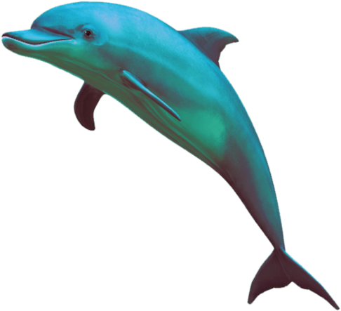 Szukaj W Google - Vaporwave Dolphin (500x500)