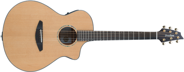Breedlove Solo Concert Guitar - Warwick Alien Acoustic Bass 5 String (722x251)