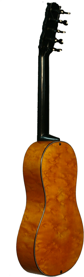Acoustic Guitar (330x900)