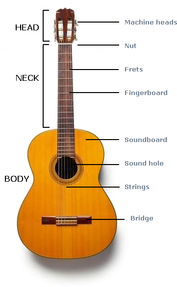 Parts Of The Guitar - Imagenes De La Guitarra Española (395x585)