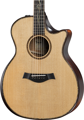 Builder's Edition K14ce - Taylor K14ce Builders Edition (490x490)