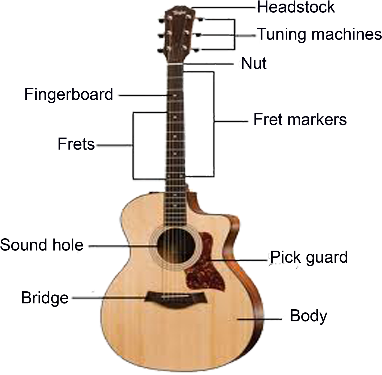 Parts Of A Guitar (1600x1505)