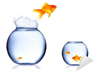 Golden Fish Jumping Out Of Aquarium Sticker • Pixers® - Aquarium (400x400)