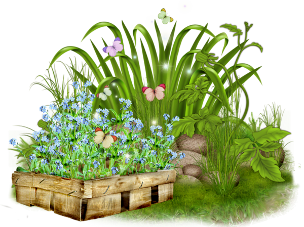 Image Du Blog Zezete2 - Grass (600x449)