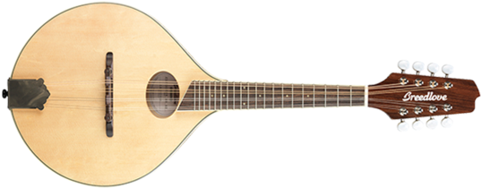 Breedlove Guitars 12 String (600x209)