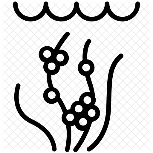 Eggs Icon - Algae (512x512)