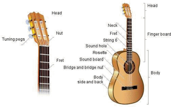 Guitar Parts Tuning Peg (608x365)