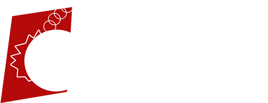 Carolina Wrecking Inc (554x227)