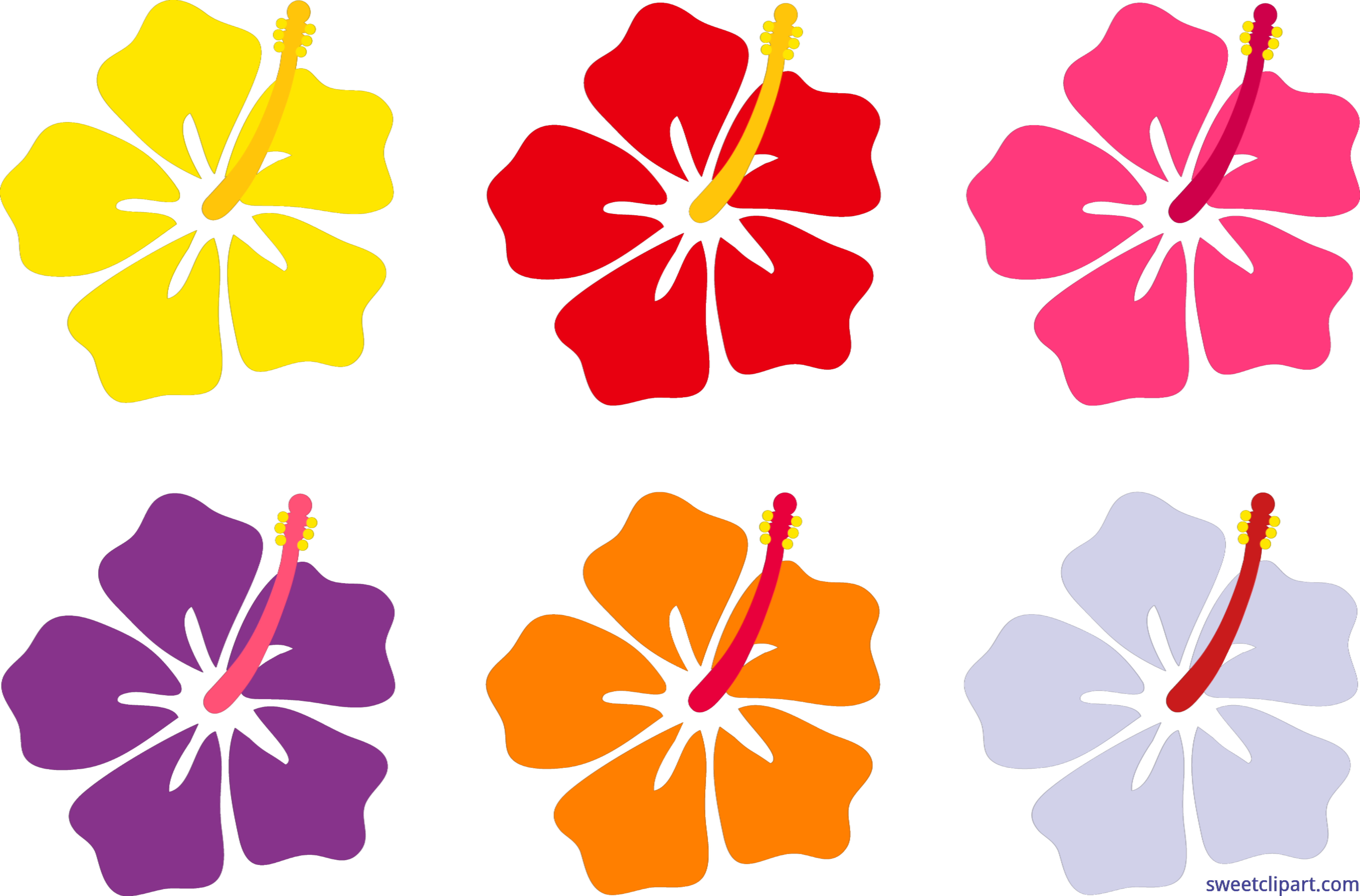 Hawaiian Hibiscus Flower Hawaiian Hibiscus Clip Art - Hawaiian Flowers Cartoon (8230x5425)