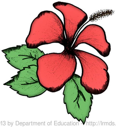 Deped Learning Portal - Gumamela Flower (480x523)