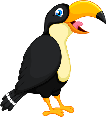 Toucan Parrot - Toucan (500x500)