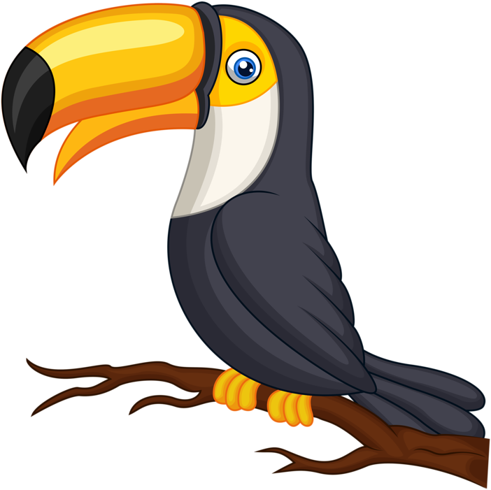 Toucan Clipart Cute Baby - รูป นก เงือก การ์ตูน (800x762)