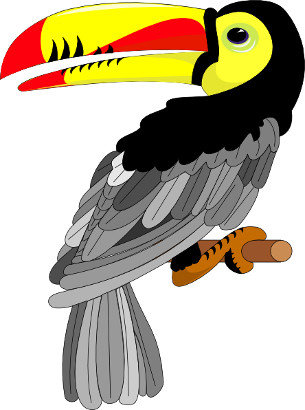 Toucan Bird Cartoon Clipart Free Clip Art Images - Clip Art (444x596)