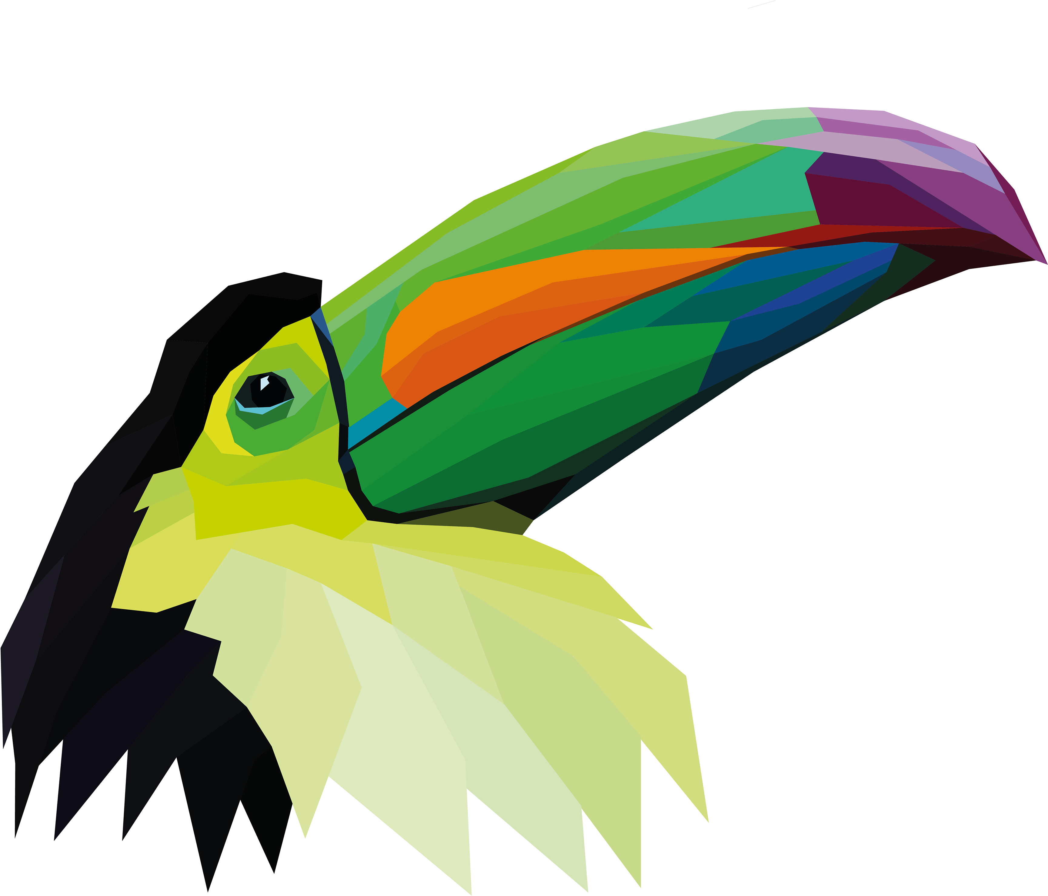 Toucan Clipart Zoo - Toucan (3840x3840)