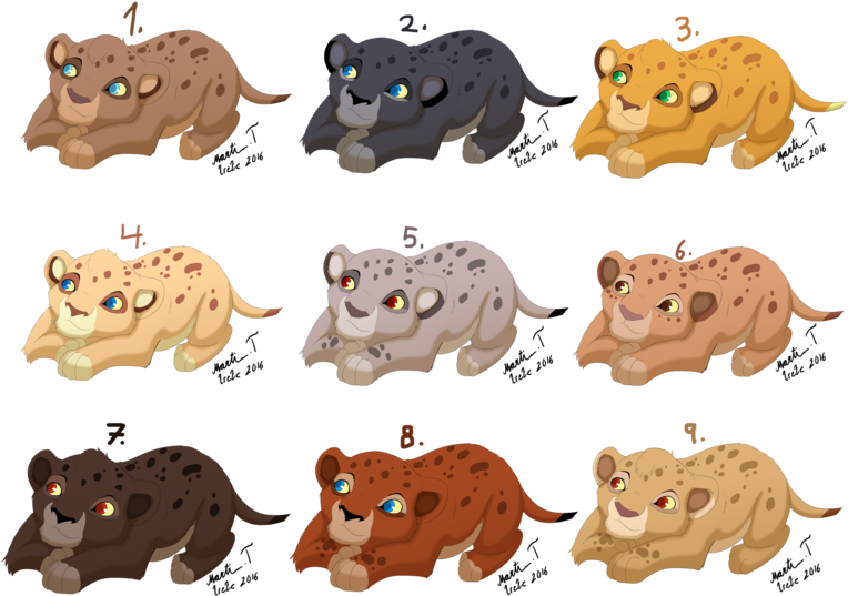 Infant Lion Cub Adopts - Infant Lion Cub Adopts (800x568)