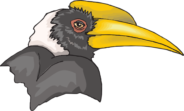 Hornbill Clipart Toucan - Hornbill Clipart (600x361)