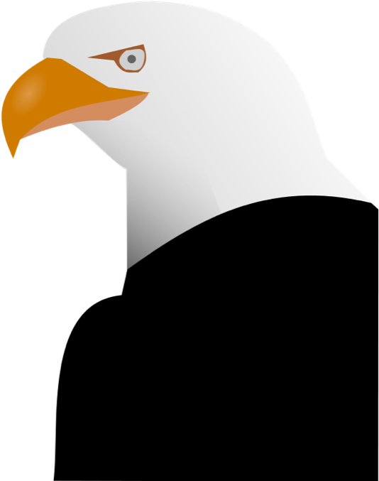 Detail Of The Birds Face - Clip Art (551x700)