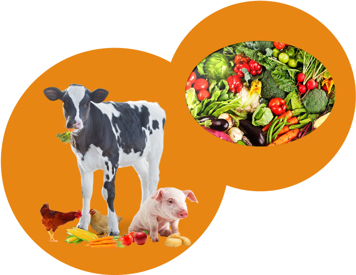 Crops And Livestock Clipart (710x542)