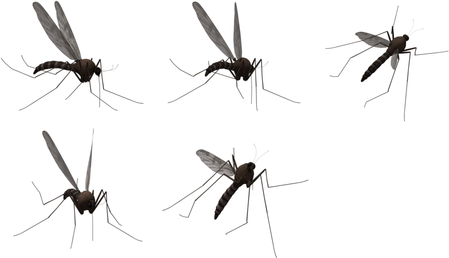Mosquito Clipart Nuisance Pencil And In Color Mosquito - Mosquito 모기 Png (1024x675)