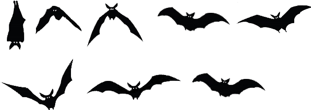 Testing The Basic Flying - Halloween Silhouette Décor Kit (644x233)