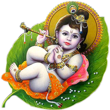 Lord Krishna Png Image With Calf - Shri Krishna Janmashtami 2017 (500x373)