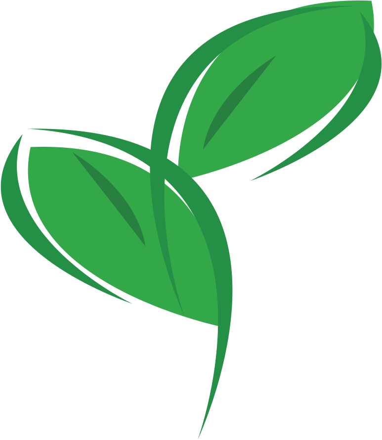 Eco Office Plants - Plants Logo Png (800x939)