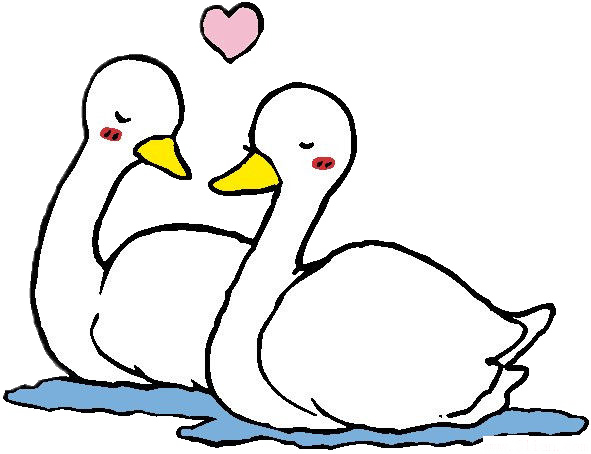 Cygnini Mandarin Duck Cartoon - Swan Cartoon (591x454)