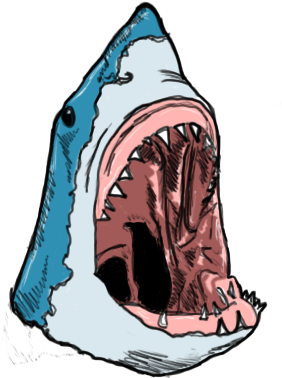 Shark Head - Shark (299x448)
