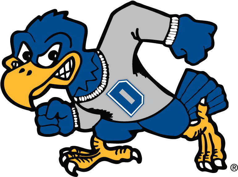 Buster Lrg Vector - Dickinson State University Logo (792x612)