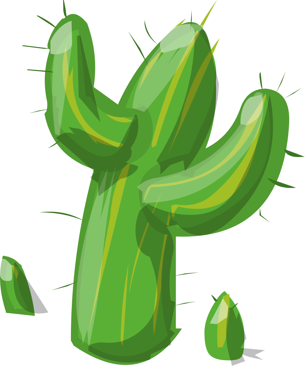 Cactus Clipart Png Download - Cactus (1015x1217)