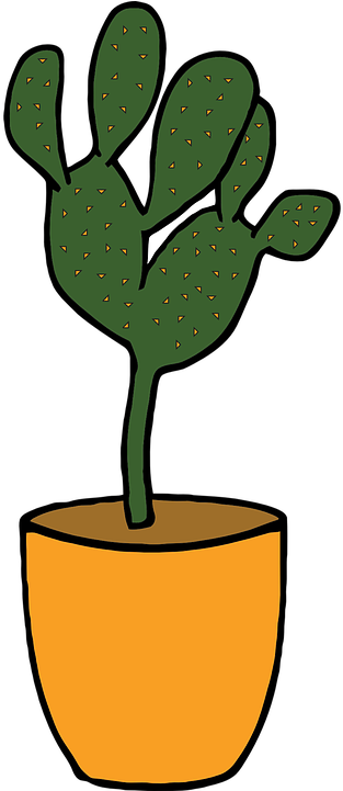 Animated Cactus Cliparts 11, Buy Clip Art - Cactus (360x720)