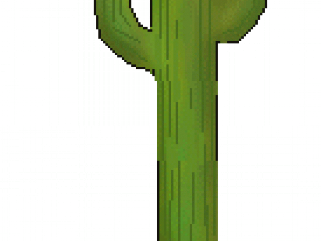 Cactus Clipart Arizona - San Pedro Cactus (640x480)