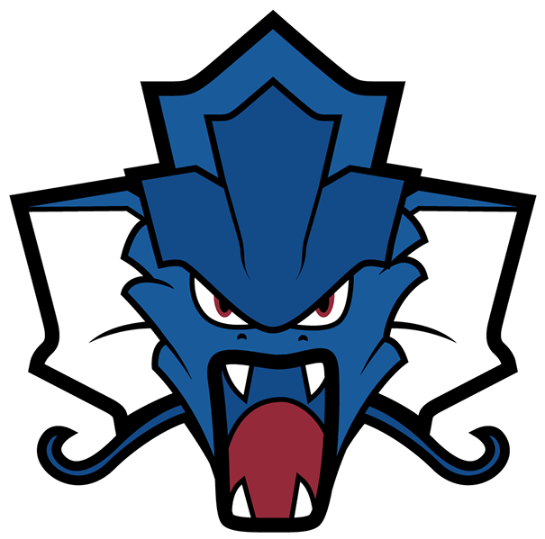 All 30 Nhl Logos If Pokemon Took Over The League - Logo Pokemon Team Png (1240x698)