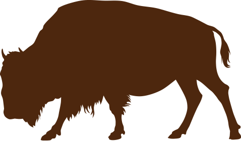Adult Ticket - Buffalo Silhouette (478x280)