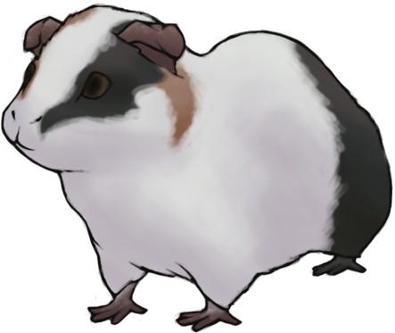 Guinea Pig By Islandnation - Guinea Pig (458x392)