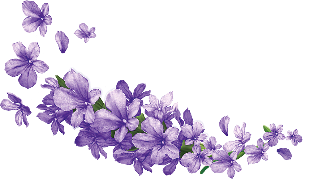 Transparent Flower Crowns - Lavender Flower Clip Art (999x579)