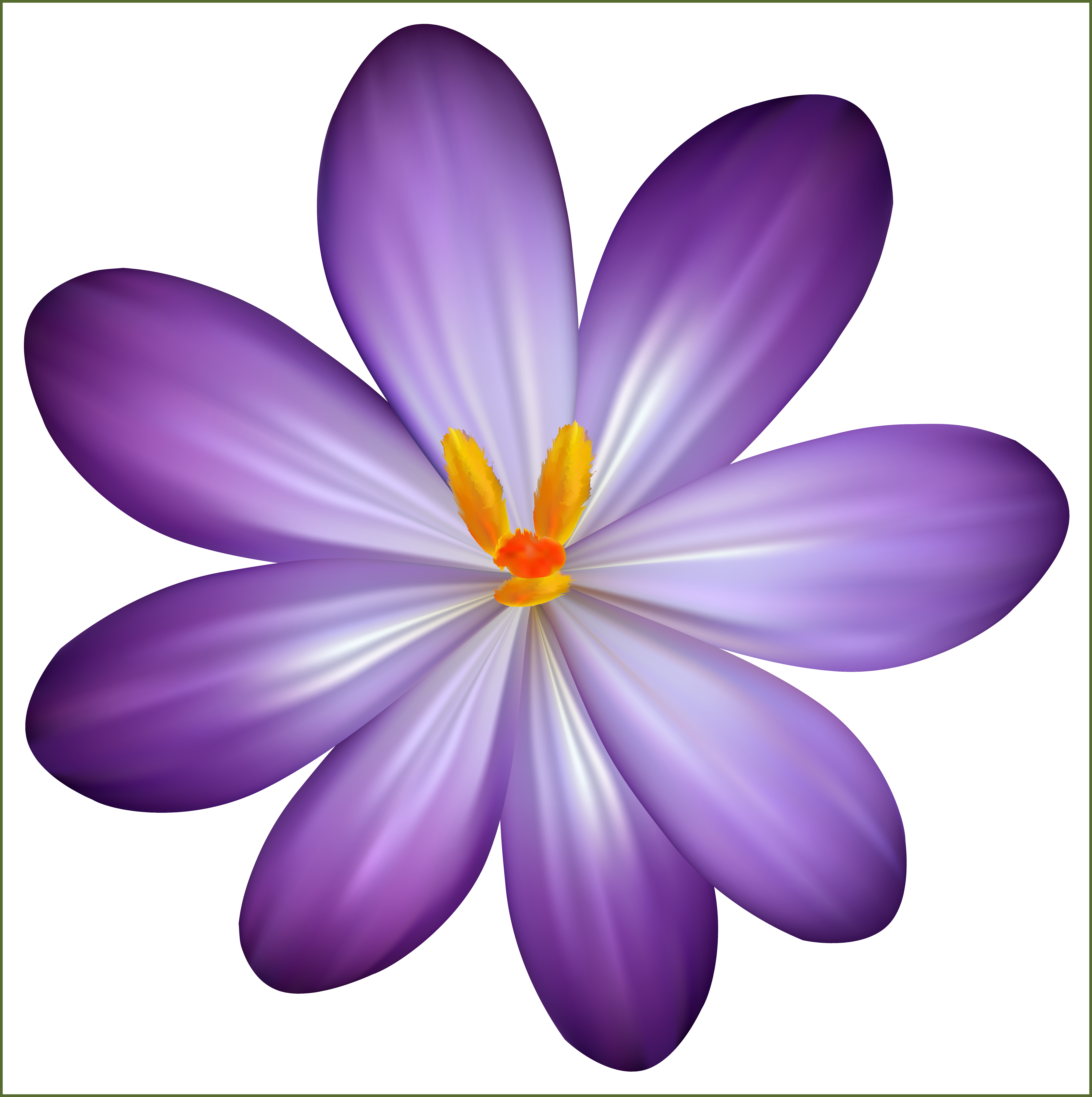 Incredible Purple Crocus Flower Png Clipart Image Gallery - Purple Flower Png (6164x6194)