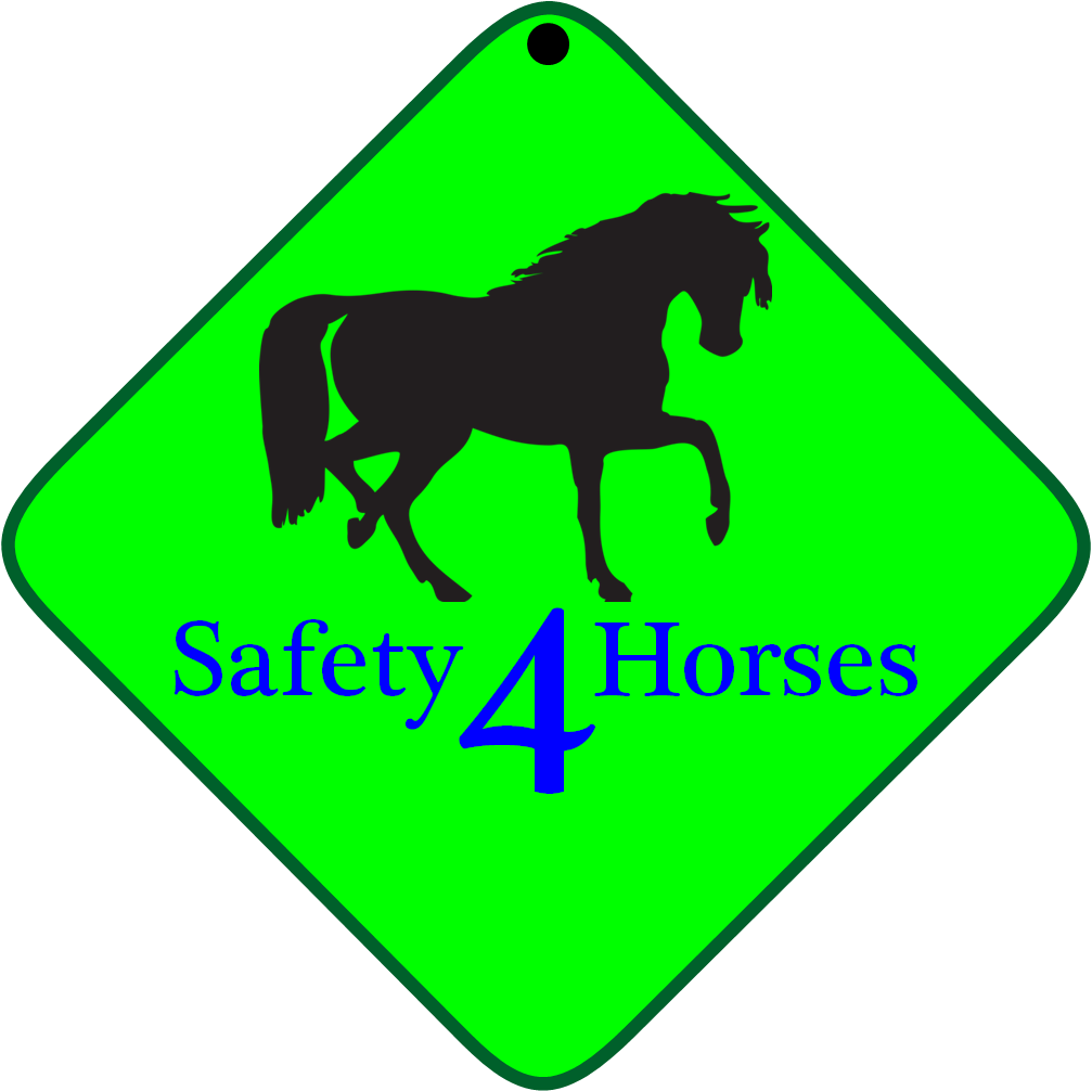 Safety4horses Equestrian Equipment - Horse Silhouette Clip Art (1007x1006)