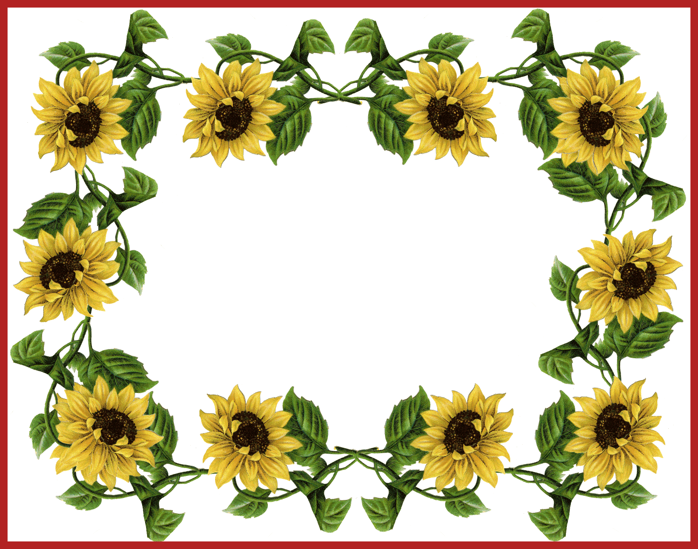 The Best Top Sunflower Icon In Outline Argumentative - Sunflower Border (1405x1105)