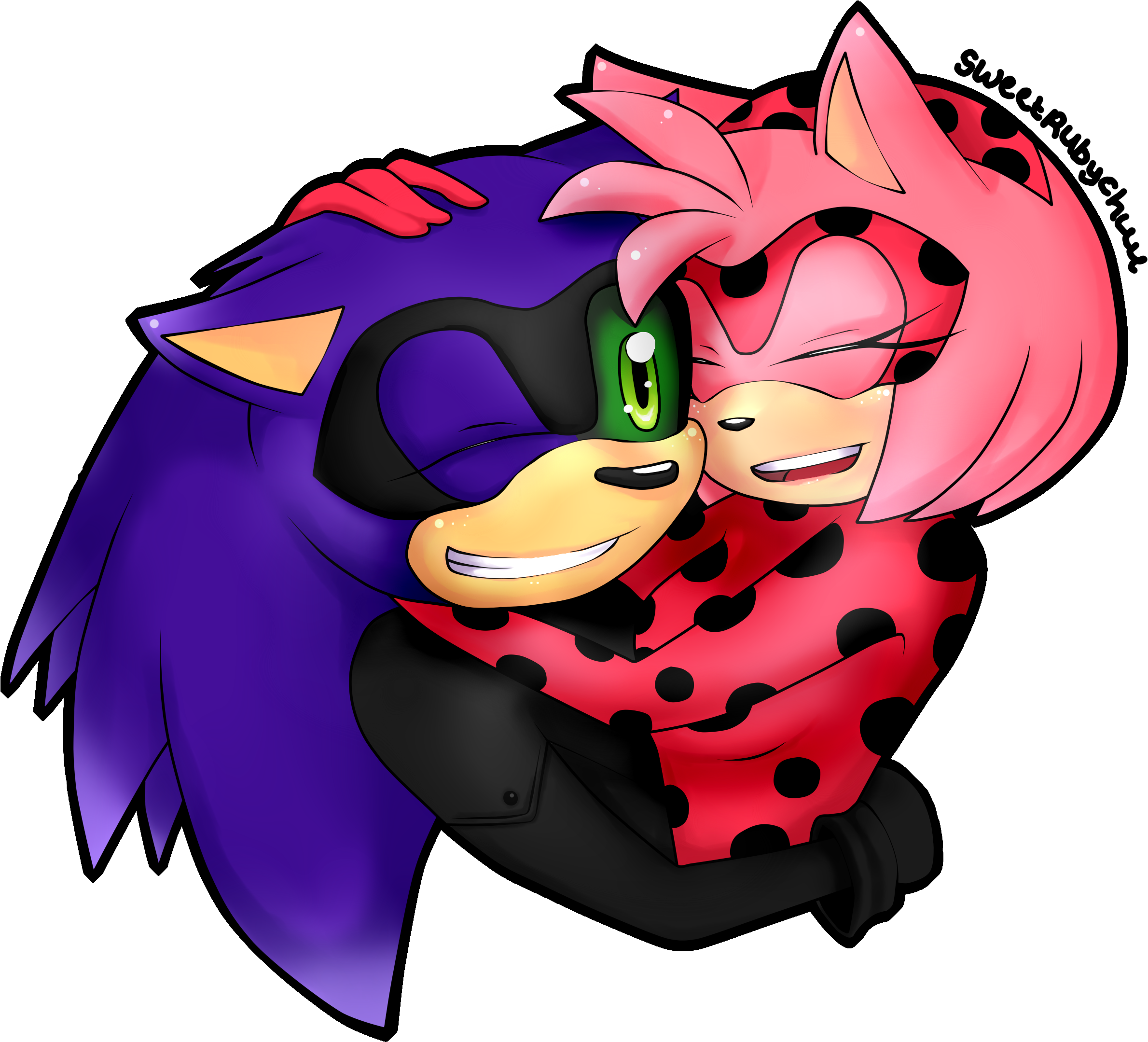 Piplup641 23 5 Sonamy As Ladynoir By Sweetrubychuu - Cartoon (2448x3264)