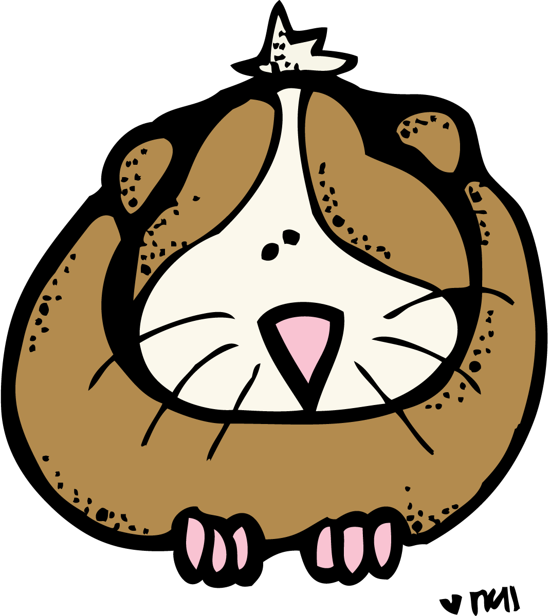 Best 25 Ideas About Melonheadz School - Melonheadz Animals (1070x1200)