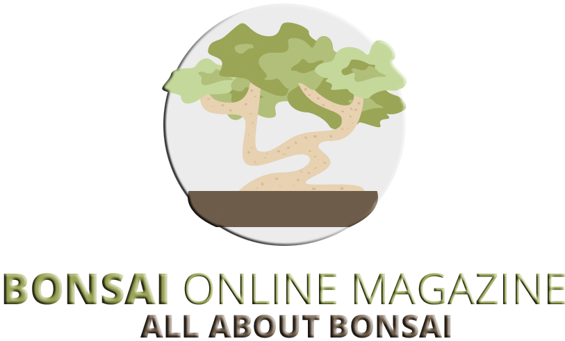 Bonsai Online Business Magazine - Oak (818x509)