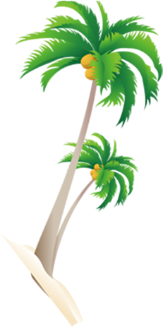 开放时间：上午10 - 30 11 - 30 下午：13 - 00 14 - - Free Palm Tree Vector (499x770)