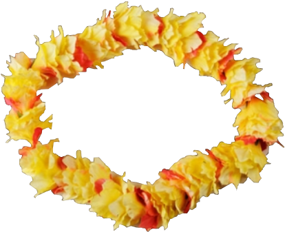 King Kamehameha S Hawaiian Lei Warehouse 13 Wiki Fandom - Hawaiian Flower Necklace Png (491x361)