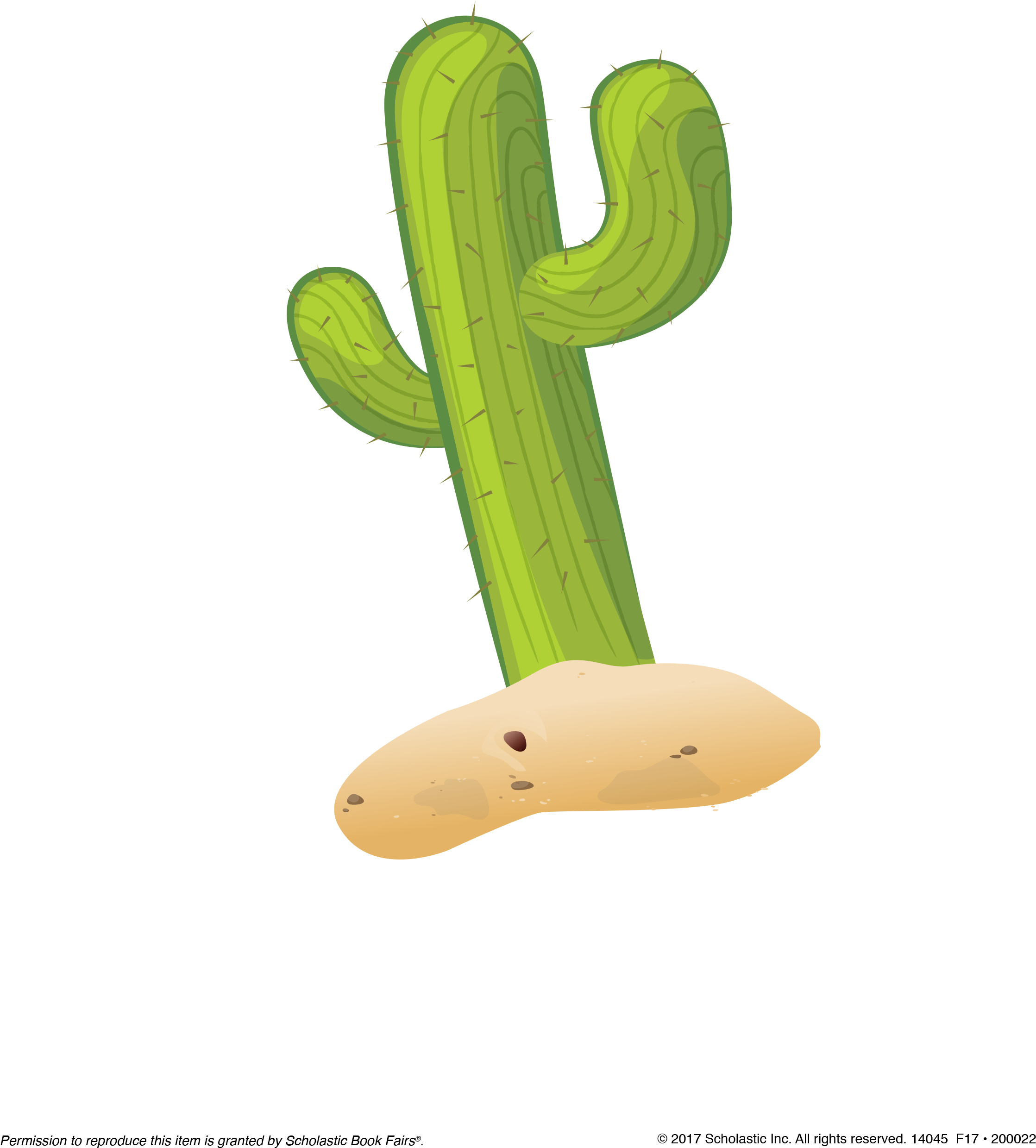 Cactus Image - San Pedro Cactus (2550x3300)