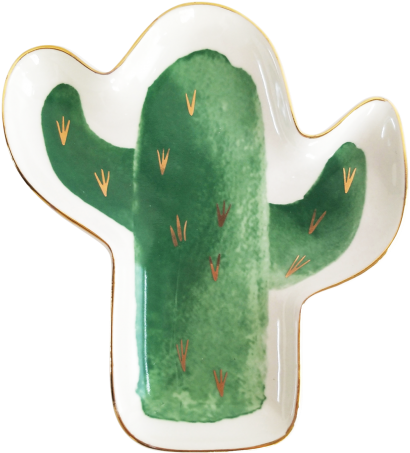 Green Cactus Dish 16cm - Puzzle (500x500)