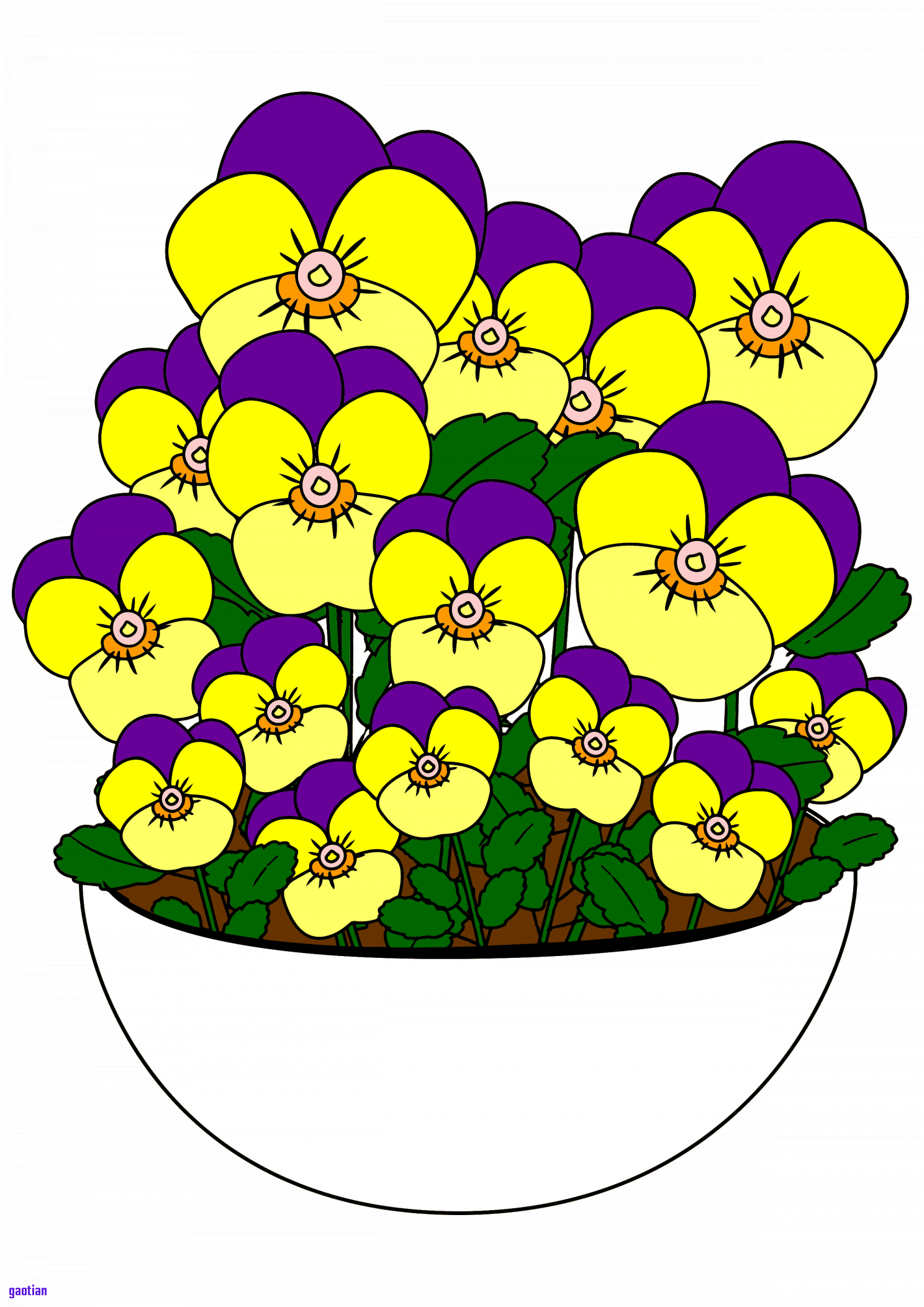 33 Elegant Dekor Bezieht Sich Auf Lustige Geburtstagsbilder - Stiefmütterchen Clipart (1488x2104)
