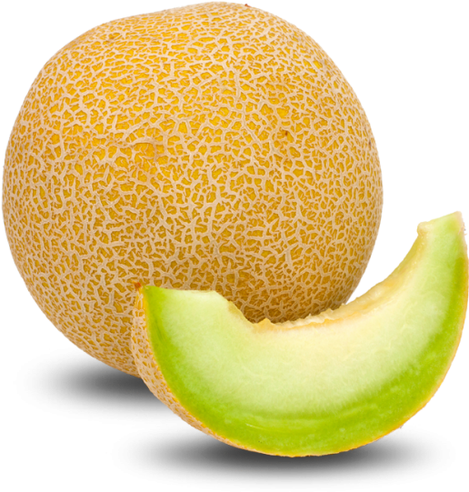 Cantaloupe Clip Art Royalty Free Gograph - Melon Benefits For Health (622x622)