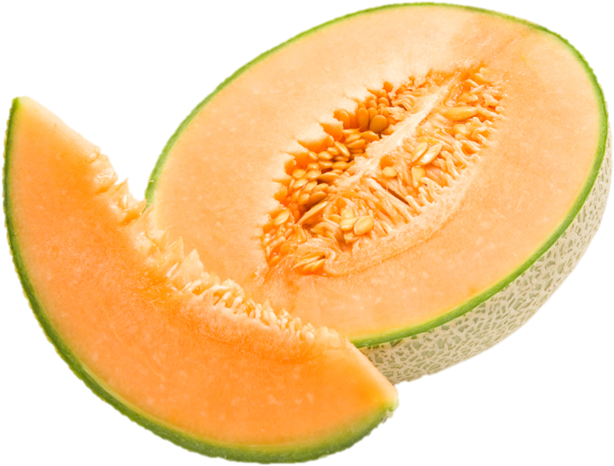 Cantaloupe Clip Art Illustrations Clipart Guide - Edisto 47 - Cantaloupe Seeds (845x663)