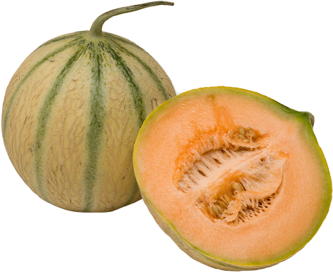 Cantaloupe Clipart Kharbuja - Difference Between Muskmelon And Cantaloupe (500x500)